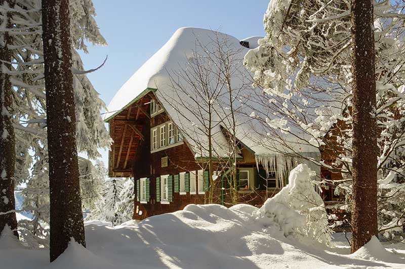 Quel plancher choisir pour le chalet?